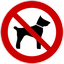 La cathédrale est interdite aux chiens