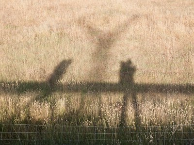 le-camino-en-anglais-et-en-allemand